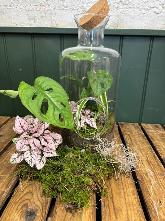 Heart of Glass- DIY Terrarium Kit