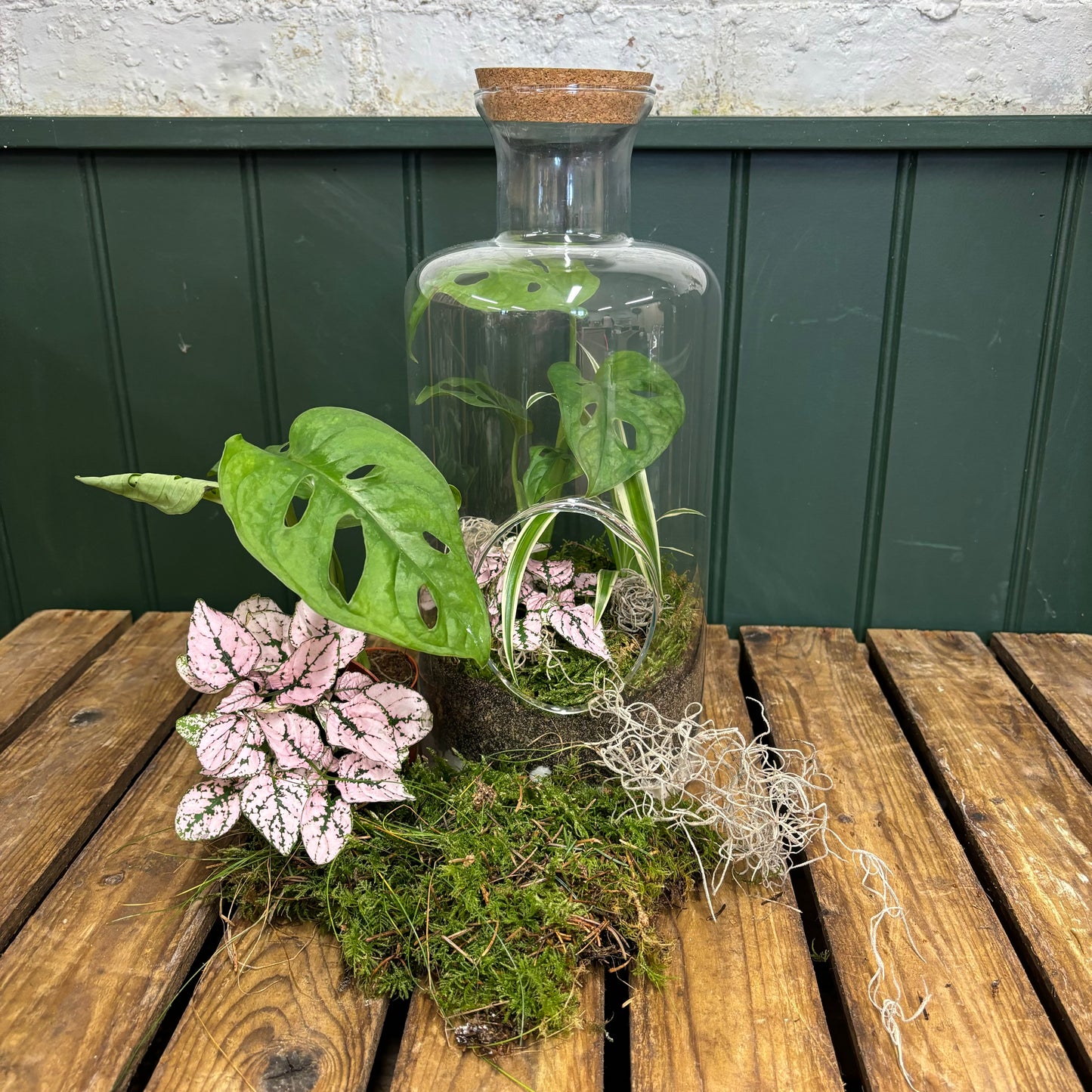 Heart of Glass- DIY Terrarium Kit