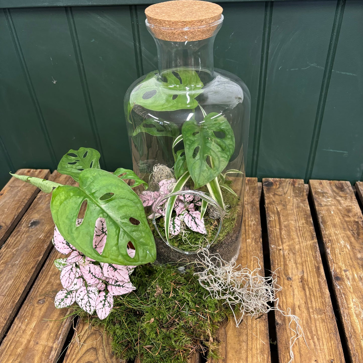 Heart of Glass- DIY Terrarium Kit
