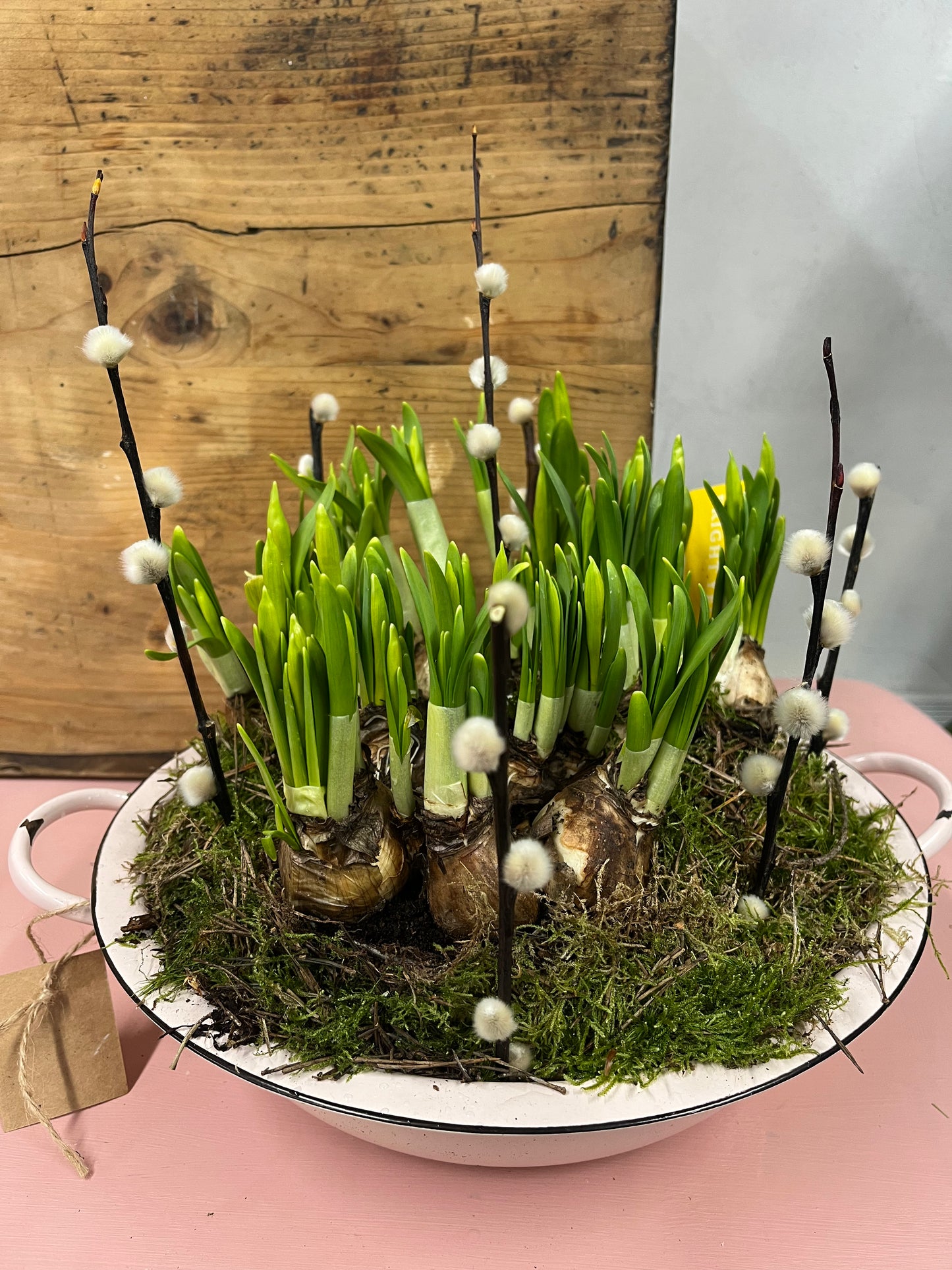 Spring bulb planter