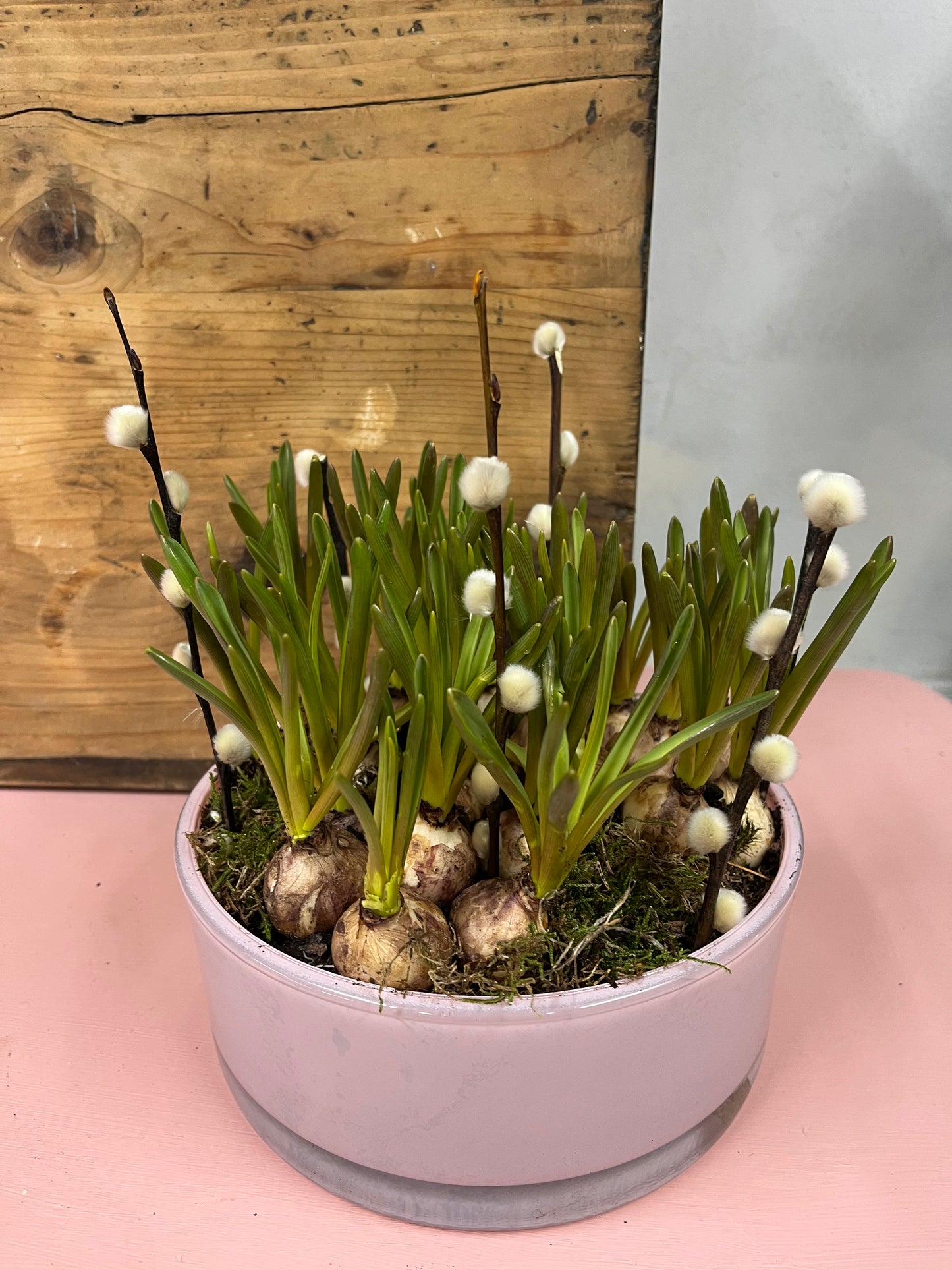Spring bulb planter