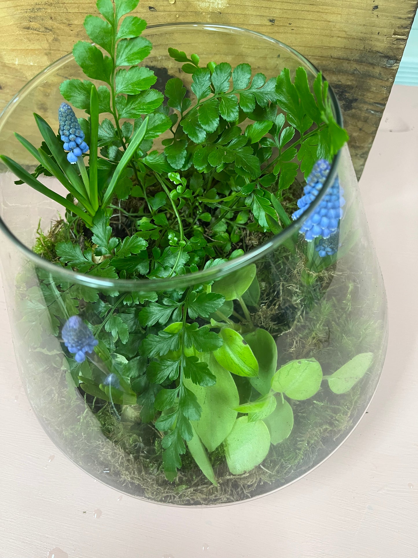 Glass Spring planter