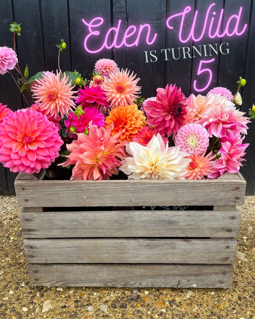 Go Wild British Blooms October 23rd & 24th ONLY