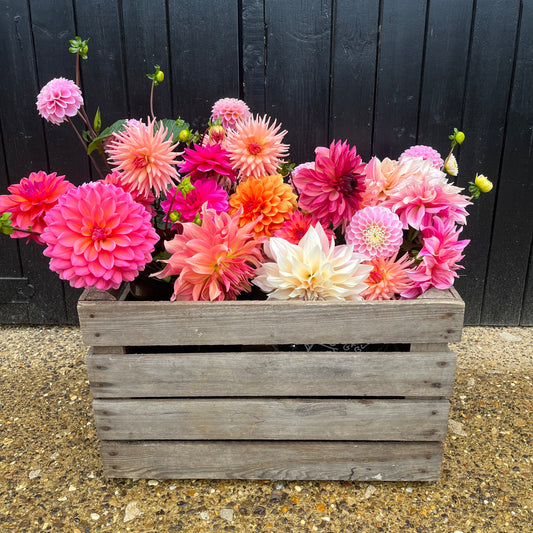 Go Wild British Blooms October 23rd & 24th ONLY