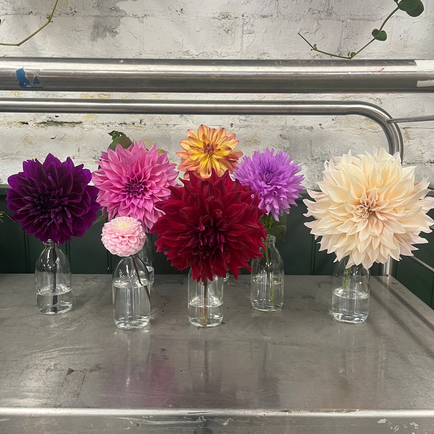 Go Wild British Blooms October 23rd & 24th ONLY